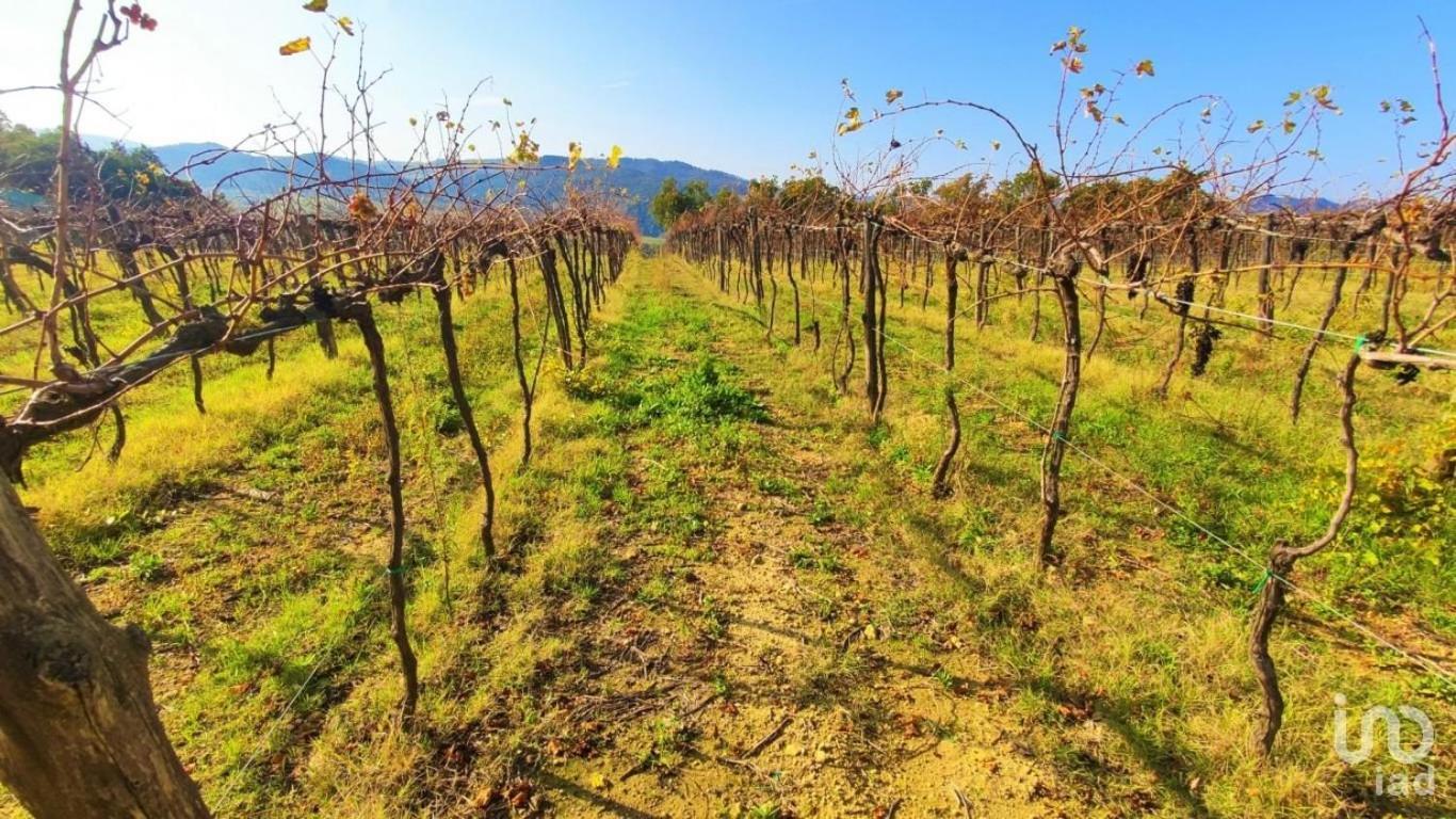 Podere Mona 波马兰切 外观 照片
